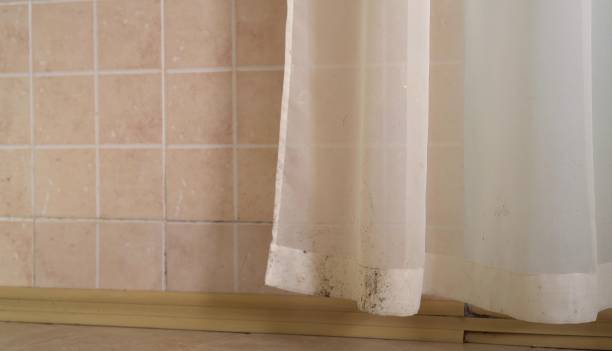 Best Asbestos and Lead Testing During Mold Inspection  in Kachina Village, AZ