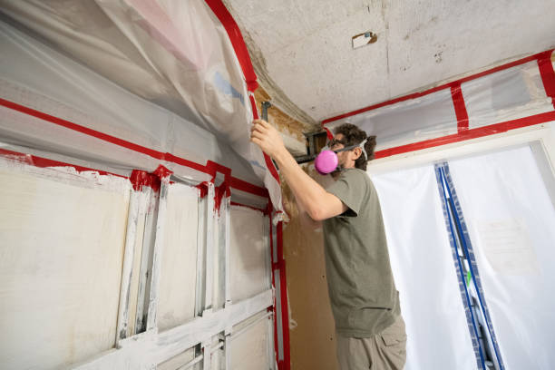 Asbestos and Lead Testing During Mold Inspection in Kachina Village, AZ